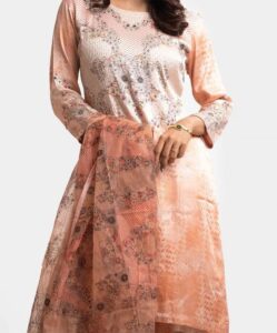 Peach Muslin Exclusive Salwar Kameez - Image 2